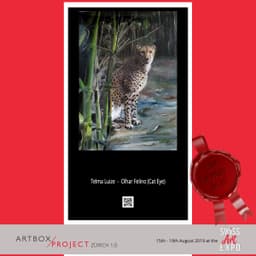SWISS ART EXPO - Exposição em Zurique