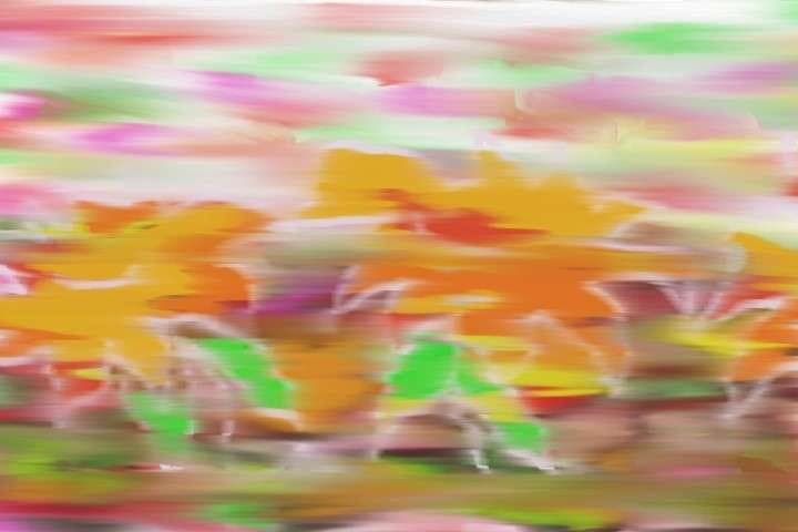 Colorido 11